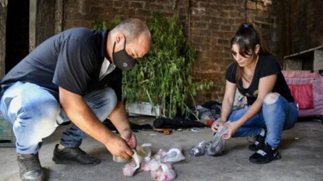 La Policía organiza paquetes que presuntamente contenían cocaína adulterada