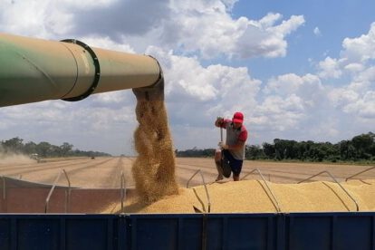 Biotecnología en la soya para aprovechar el alza del precio