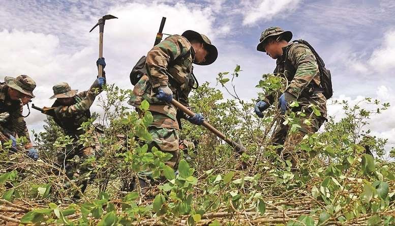Erradicación de cultivos de coca en Bolivia