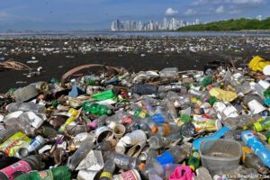 Residuos plásticos en océanos alertados por WWF