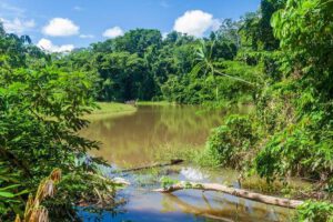 Avasallamiento minero en el Parque Nacional Madidi