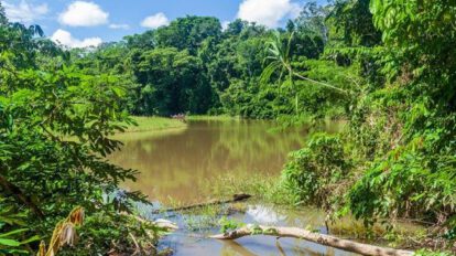Avasallamiento minero en el Parque Nacional Madidi