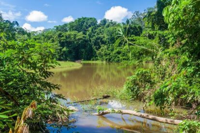 Avasallamiento minero en el Parque Nacional Madidi