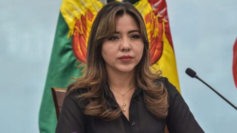 Viceministra de Comunicación Gabriela Alcón