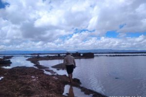 Inundaciones en Chipaya debido al Fenómeno de La Niña