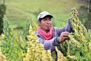 Desarrollo productivo Oruro con asistencia técnica del BDP