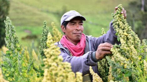 Desarrollo productivo Oruro con asistencia técnica del BDP
