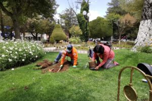 Plaza 10 de Febrero con árboles frutales plantados