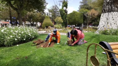 Plaza 10 de Febrero con árboles frutales plantados