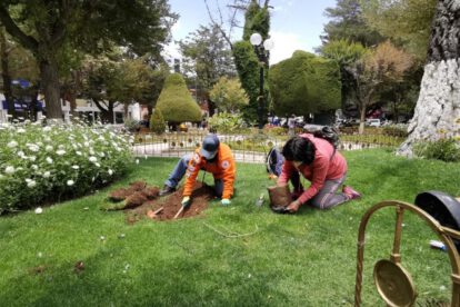 Plaza 10 de Febrero con árboles frutales plantados