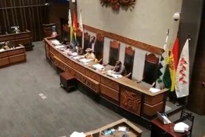Licencia senador MAS aprobada por la Cámara Alta