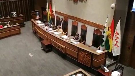 Licencia senador MAS aprobada por la Cámara Alta