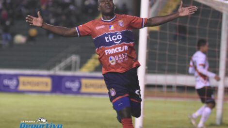 Torneo Apertura en la División Profesional