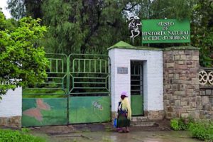 protesta por el museo Alcide d'Orbigny en Cochabamba
