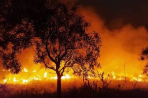 Incendios en Iberá, Argentina, causando daños incalculables