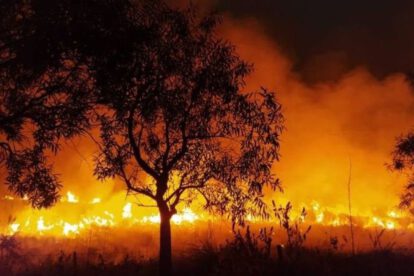 Incendios en Iberá, Argentina, causando daños incalculables