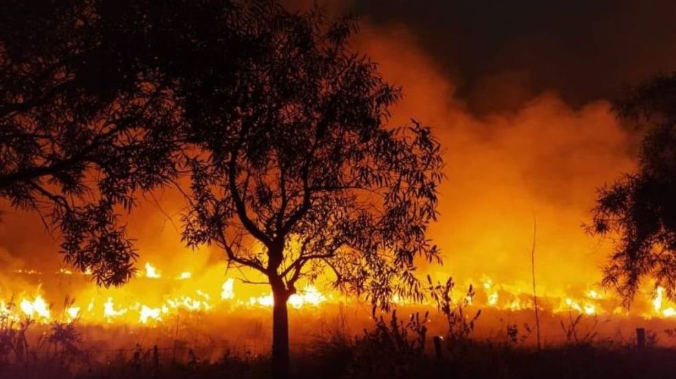 Incendios en Iberá, Argentina, causando daños incalculables