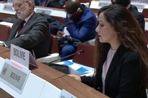 Cese de hostilidades en el Consejo de DDHH de la ONU