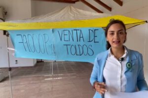 Sobreprecio en compra de toldos denunciado por Luisa Nayar
