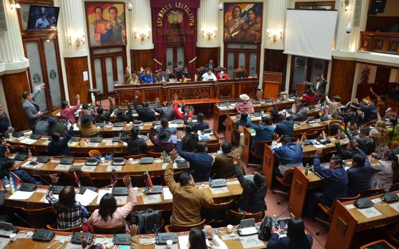 Defensor del Pueblo en la Asamblea Legislativa Plurinacional