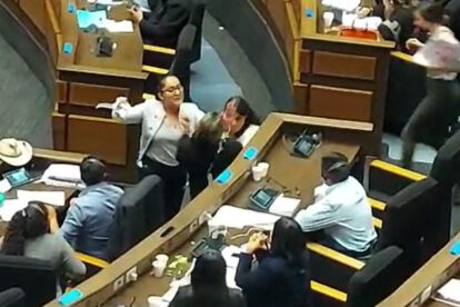 Sesión en la ALP suspendida por violencia entre parlamentarios