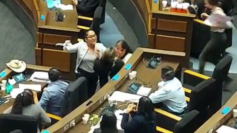 Sesión en la ALP suspendida por violencia entre parlamentarios
