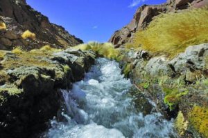Defensa de Bolivia por el Silala