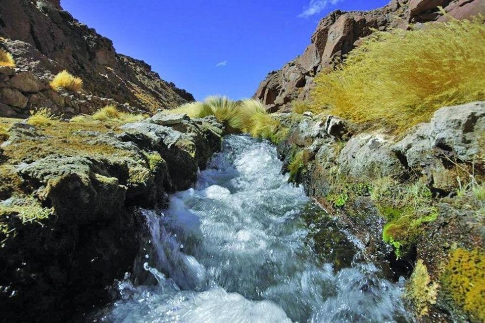 Defensa de Bolivia por el Silala