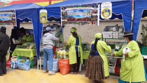 Oruro avanza en la agricultura ecológica