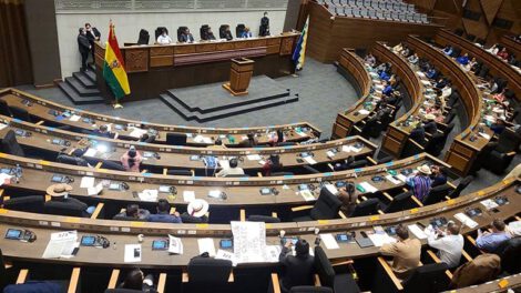 Elección Defensor del Pueblo en Asamblea Legislativa Plurinacional