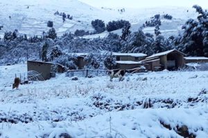 daño ocasionado por la nevada en Cochabamba