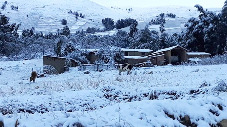 daño ocasionado por la nevada en Cochabamba