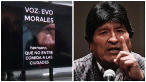 Pericia de audio de Evo Morales con alta probabilidad de identificación de voz