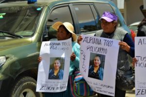 desaparición de Adriana Toco