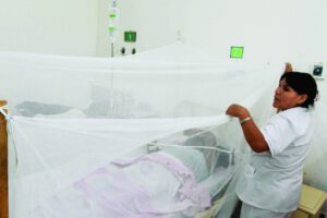 Muertes por dengue en Santa Cruz