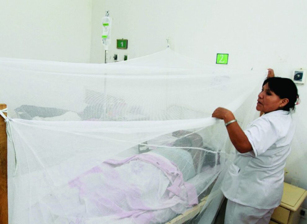 Muertes por dengue en Santa Cruz