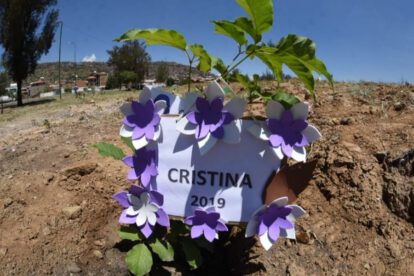Plantación de un arbolito en memoria de una víctima de feminicidio