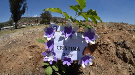 Plantación de un arbolito en memoria de una víctima de feminicidio