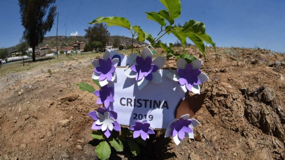 Plantación de un arbolito en memoria de una víctima de feminicidio