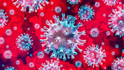 coronavirus en Sucre