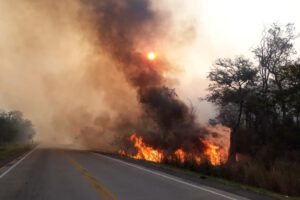 Incendios en la Chiquitanía