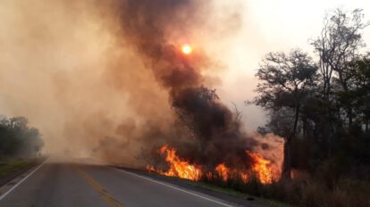 Incendios en la Chiquitanía