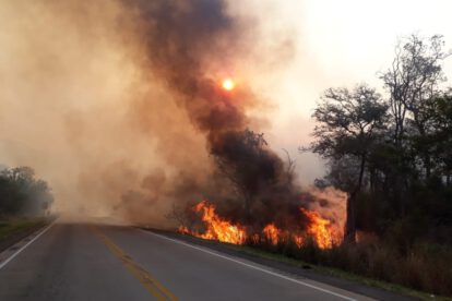 Incendios en la Chiquitanía