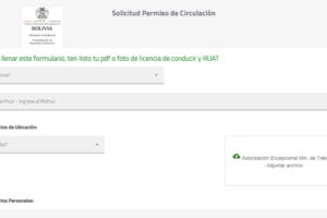 Permiso de circulación especial a través de plataforma en internet