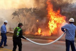 Incendio en Santa Cruz
