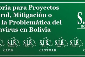 Ingenieros de Bolivia contra el Covid-19