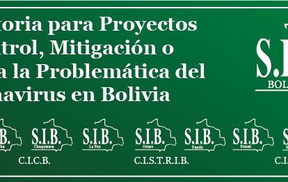 Ingenieros de Bolivia contra el Covid-19