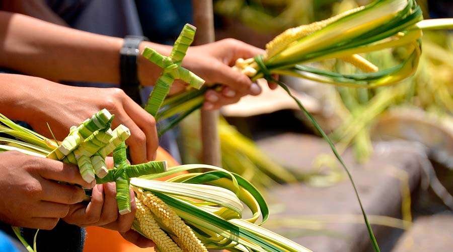 Domingo de Ramos en pandemia, Cristo debe ser el pilar fundamental