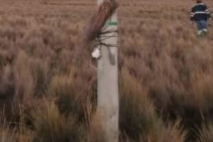 Carga clandestina de celulares interrumpe energía eléctrica en Challapata