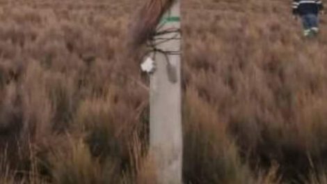 Carga clandestina de celulares interrumpe energía eléctrica en Challapata